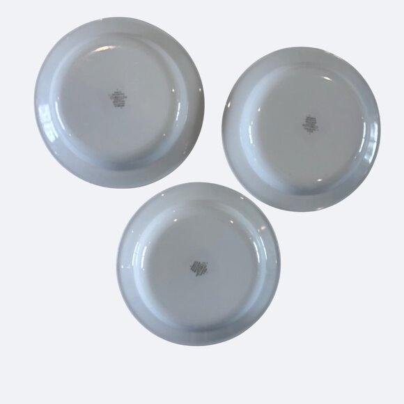 Corelle Vitrelle Impressions Watercolors Rimmed Soup Bowl Salad Set 3 EUC - Picture 4 of 7